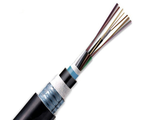 Cáp quang chôn trực tiếp Single mode 12FO