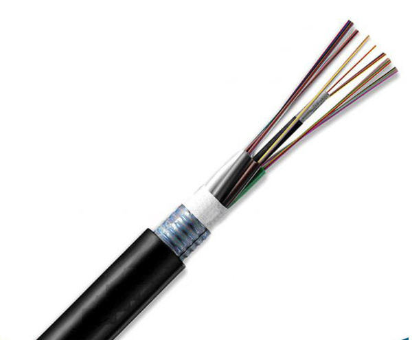 Cáp quang chôn trực tiếp Single mode 8FO