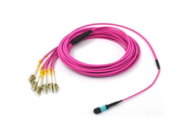 Cáp OM4 MPO Trunk
