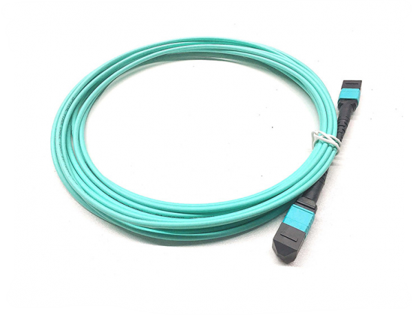 Dây nhảy quang 48fiber 96fiber OM4 50/125 MPO MTP